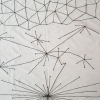 Ele Carpenter, 2010, Baran Diagram, detalj Ele Carpenter, 2010, Baran Diagram, detalj